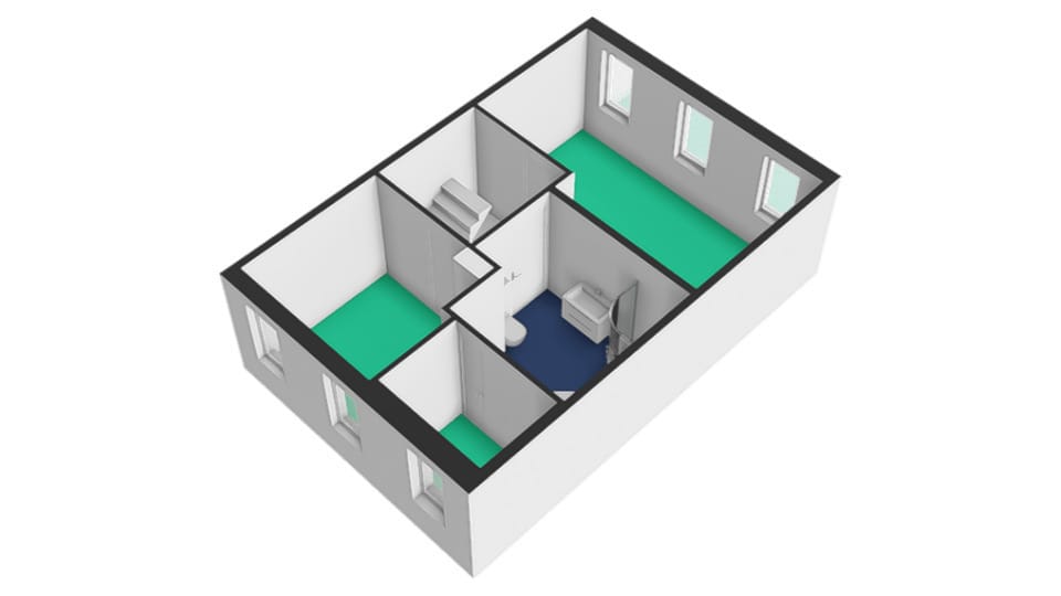 Foto 50 van Beukenhout 20