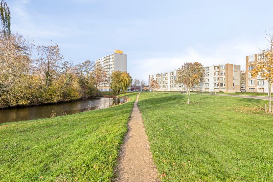 Photo 31 of Schaepmanstraat 113