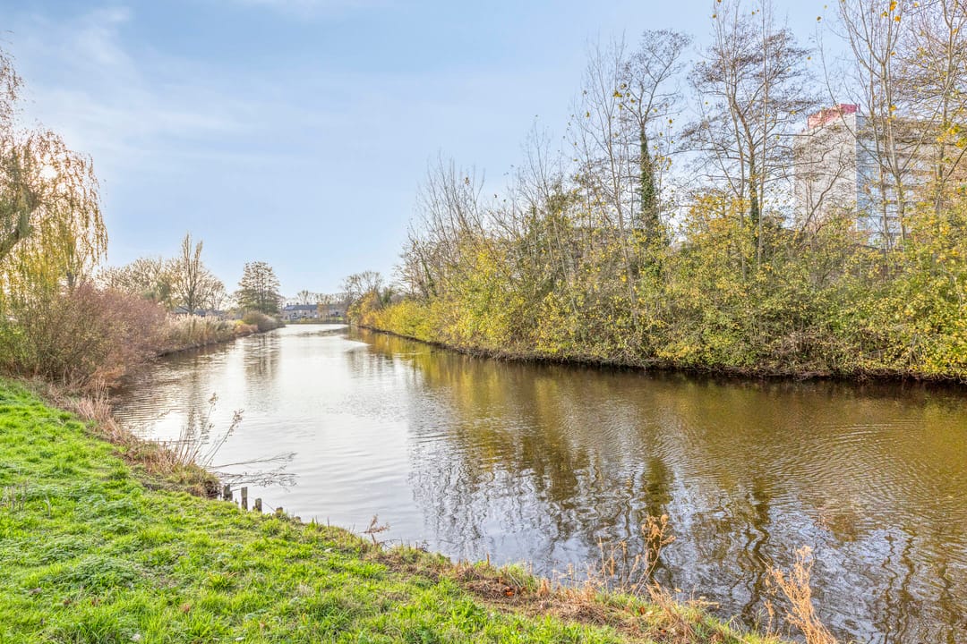 Photo 32 of Schaepmanstraat 113