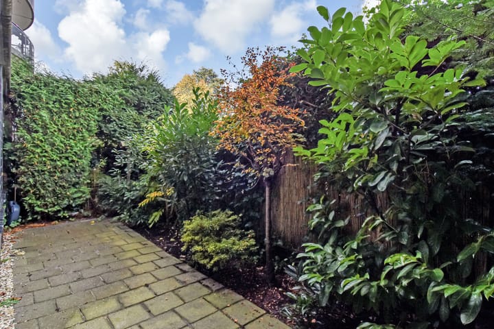 Foto 2 van Acaciazoom 61