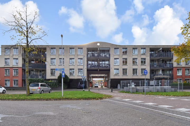 Foto 3 van Acaciazoom 61