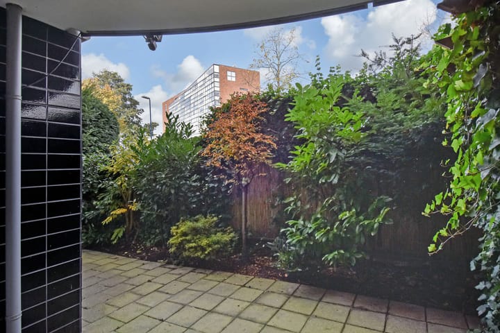 Foto 23 van Acaciazoom 61