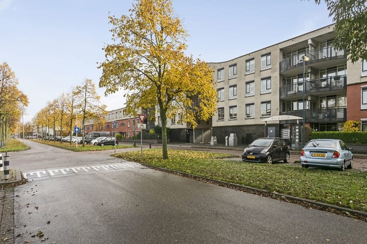 Foto 31 van Acaciazoom 61