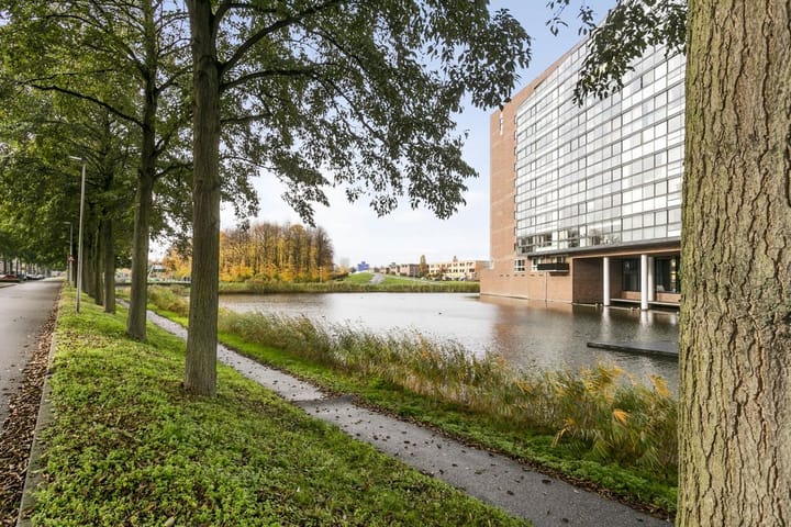 Foto 32 van Acaciazoom 61