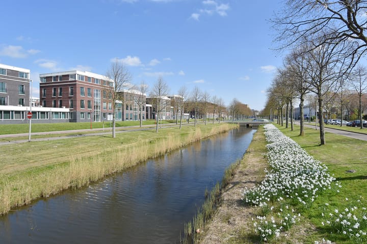 Foto 34 van Acaciazoom 61