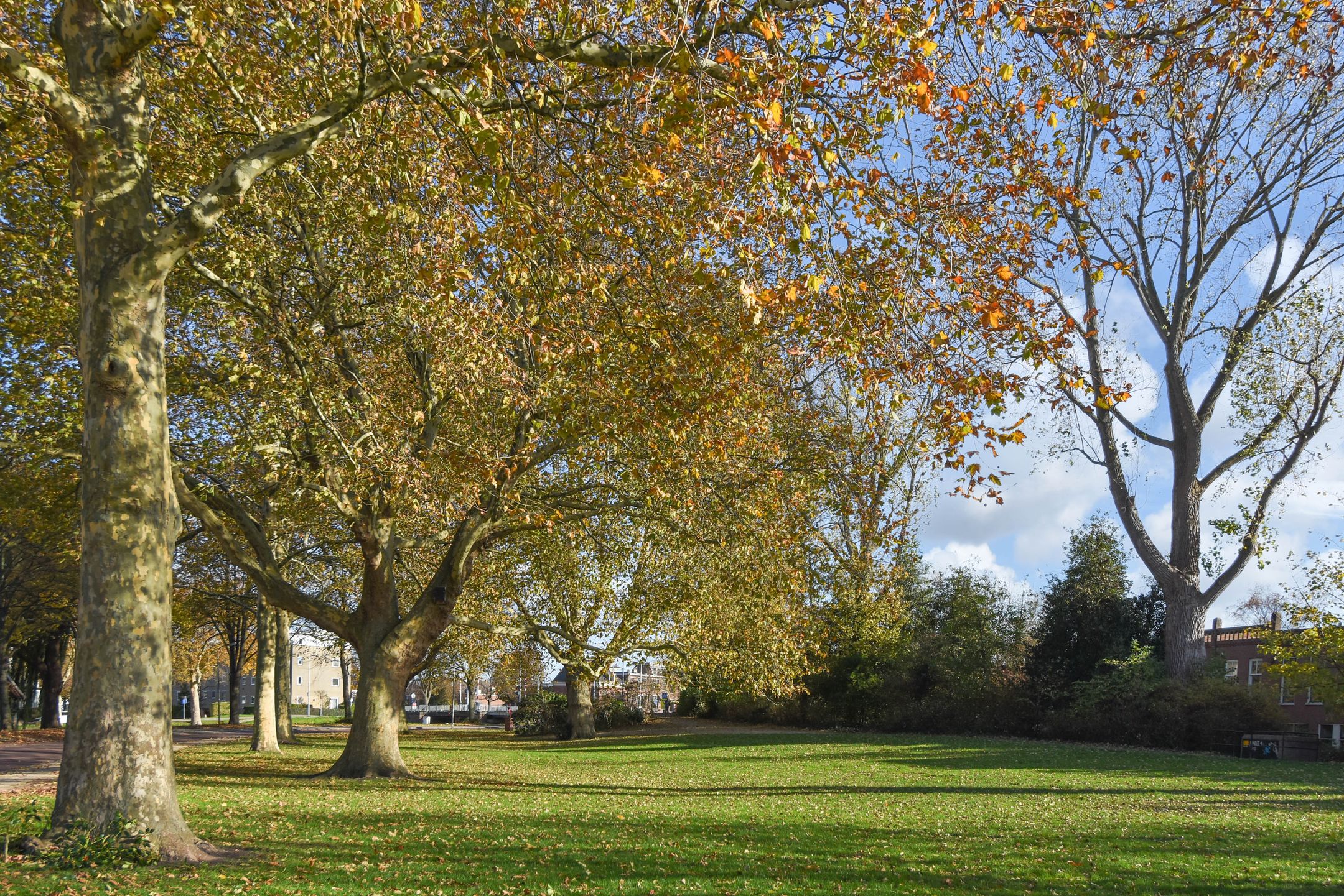 Foto 63 van Kantoorgracht 74-G