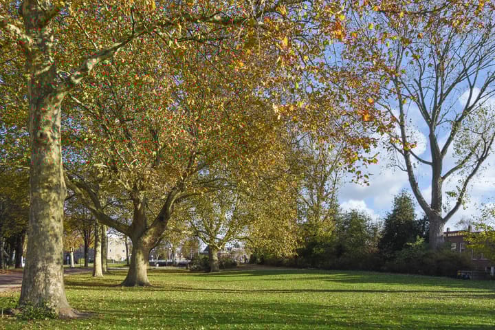 Photo 63 of Kantoorgracht 74-G