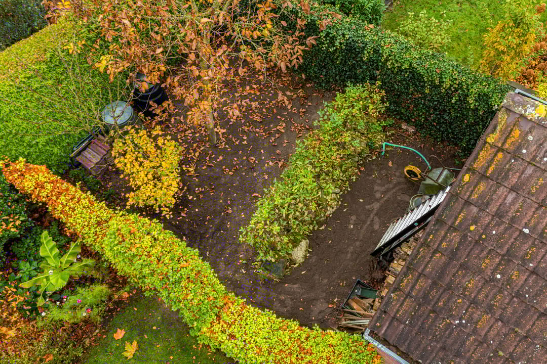 Foto 53 van De Voorreep 65