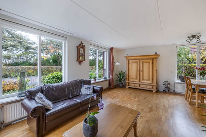 Foto 7 van Vijfheerenlanden 5