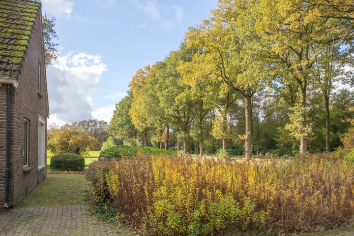 Foto 16 van Witte Menweg 3