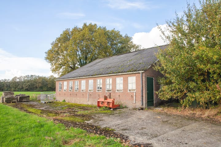 Foto 56 van Witte Menweg 3