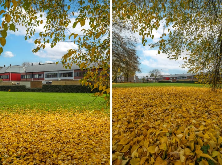 Foto 11 van Peppelenwei 47