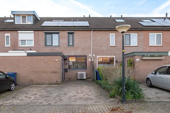 Brugwachtershoeve 303