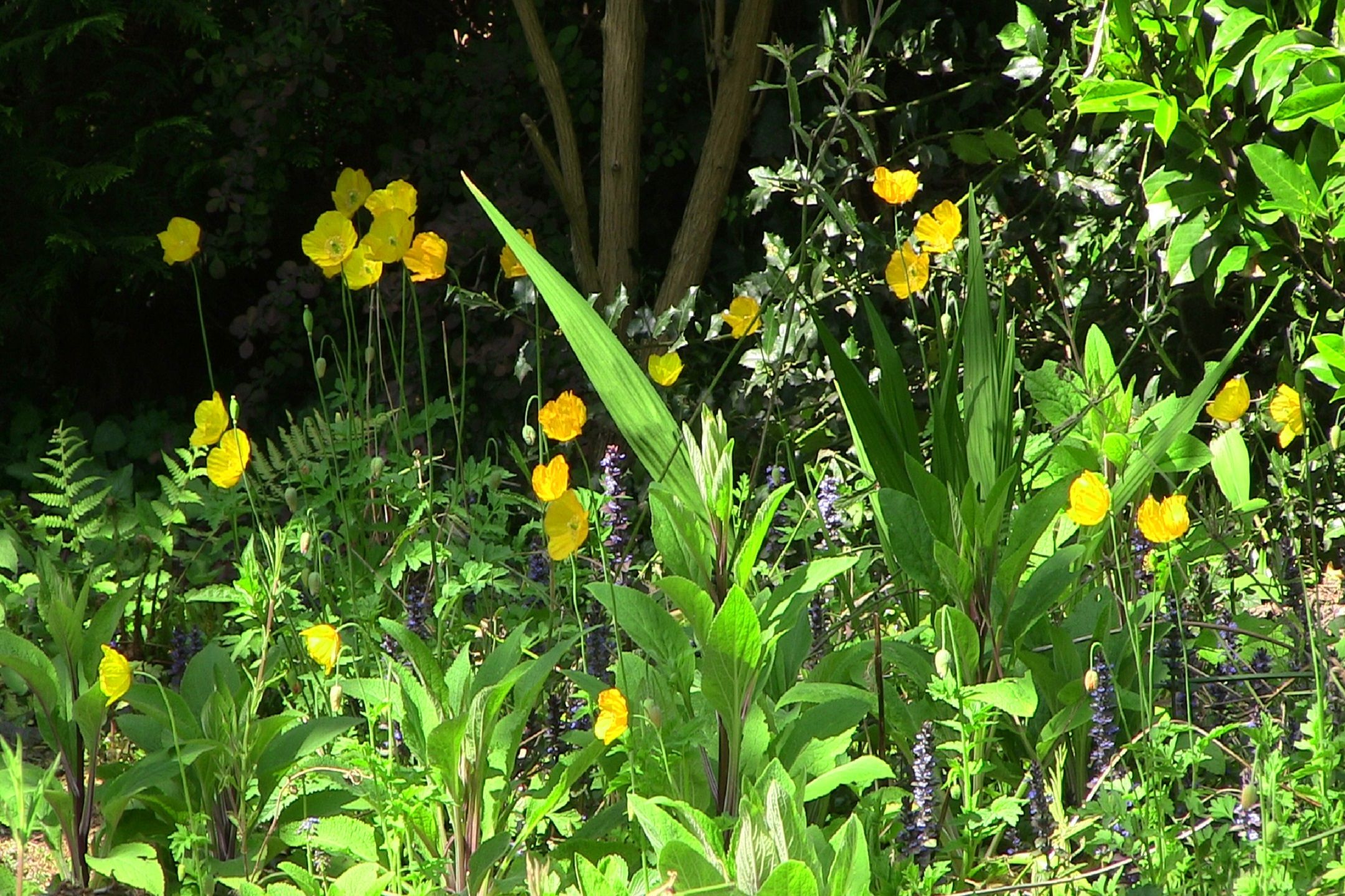Photo 30 of Catalonië 35