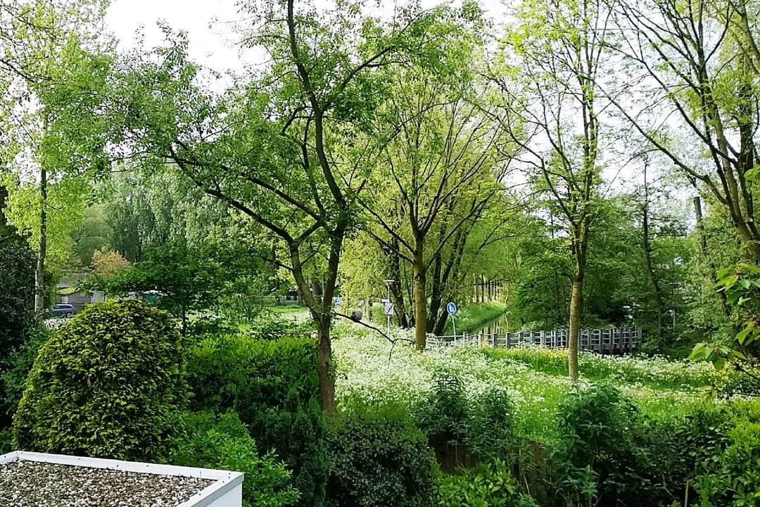 Photo 22 of Catalonië 35