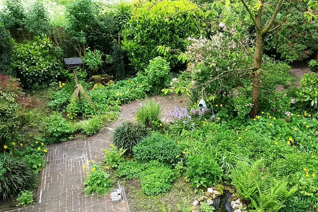 Photo 23 of Catalonië 35