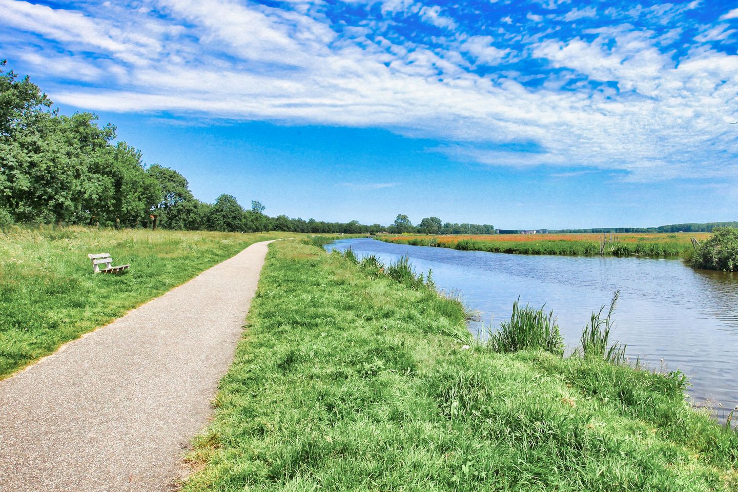 Foto 35 van Clovisstraat 52