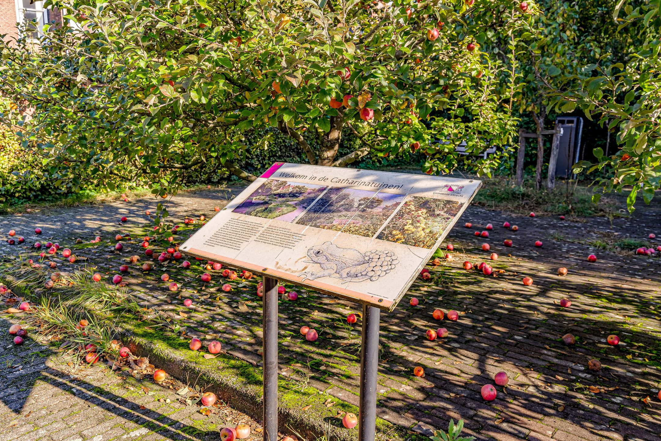 Photo 24 of Lange Nieuwstraat 12-A