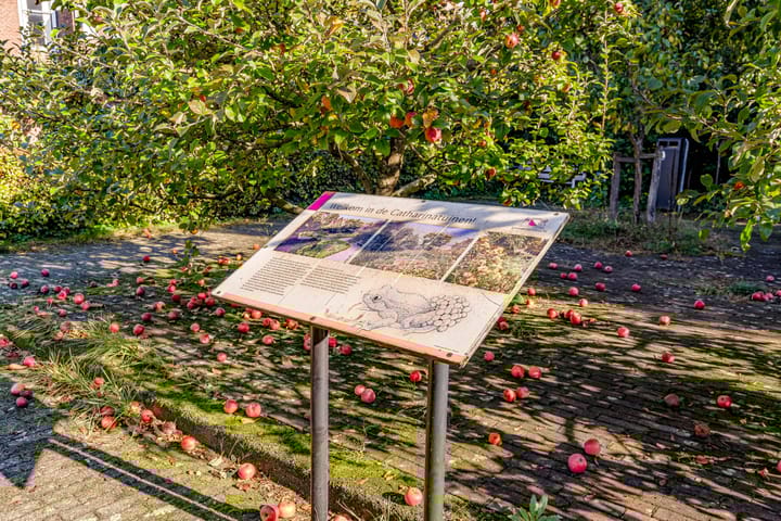 Foto 24 van Lange Nieuwstraat 12-A