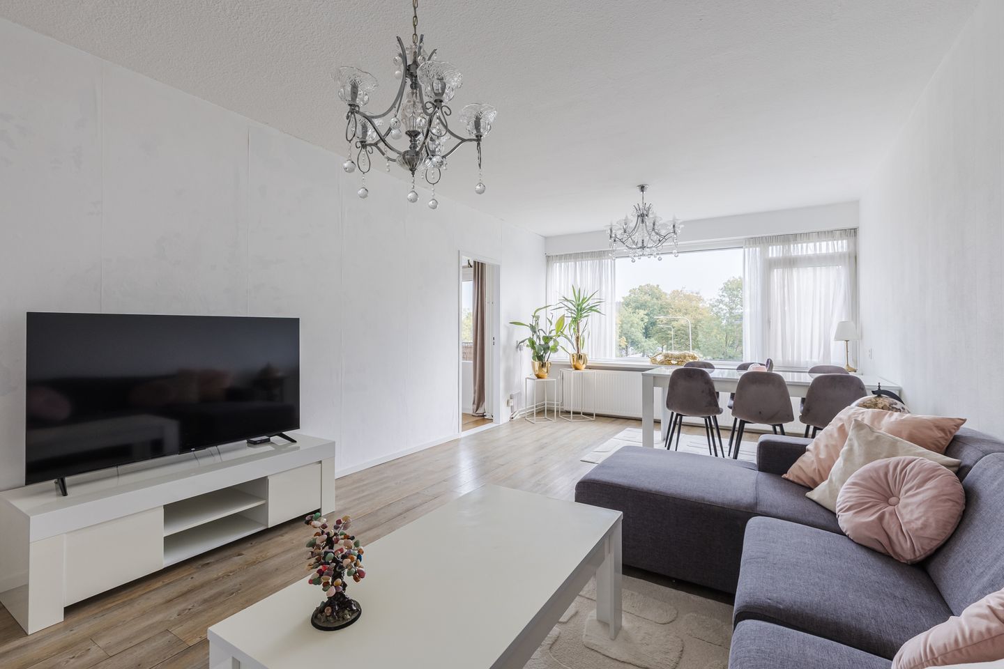 Foto 4 van Jan Ligthartstraat 221