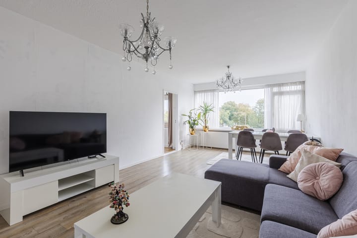 Foto 4 van Jan Ligthartstraat 221