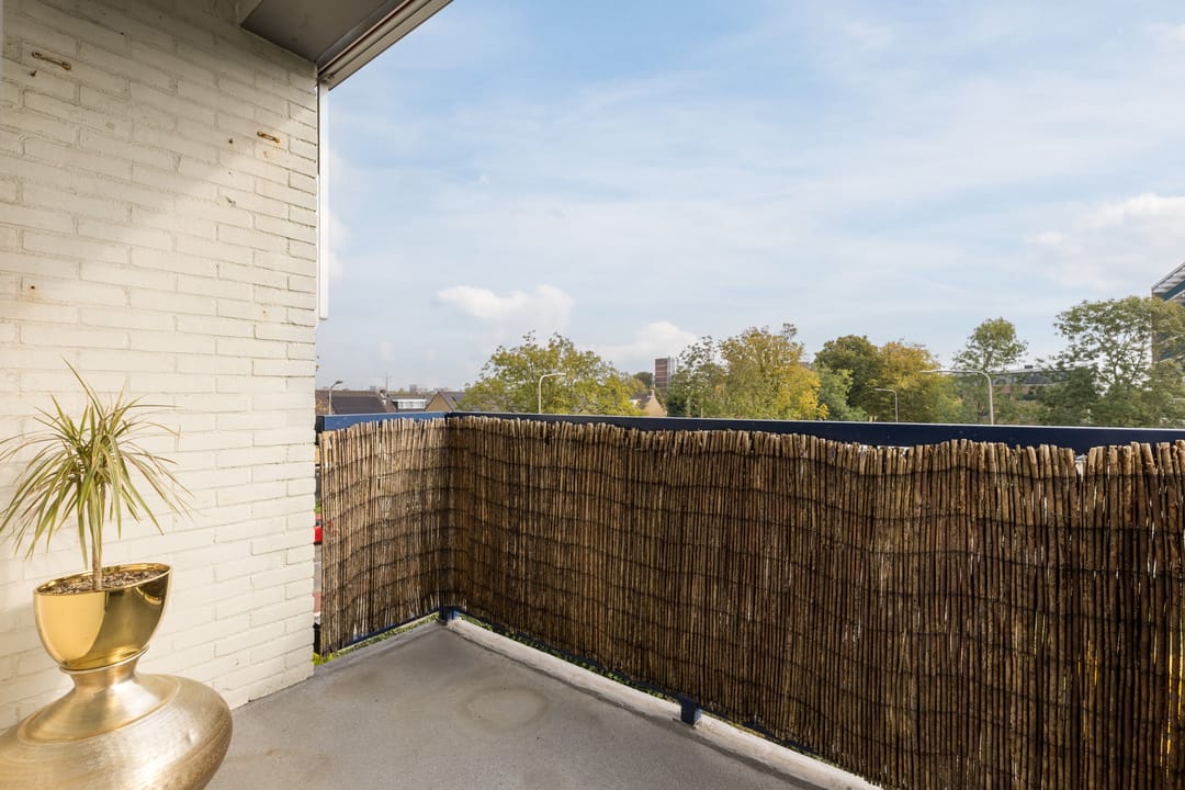 Foto 8 van Jan Ligthartstraat 221