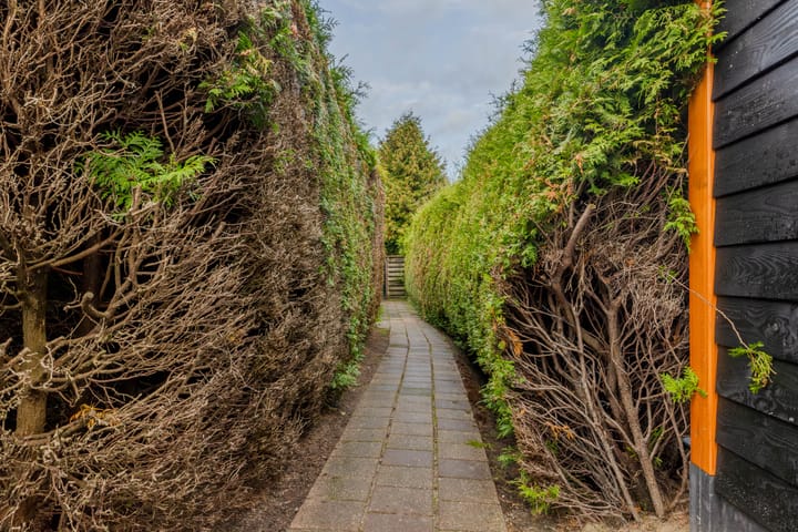 Photo 32 of Burmaniastraat 39