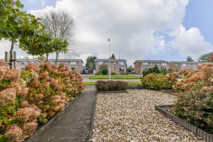 Photo 33 of Burmaniastraat 39