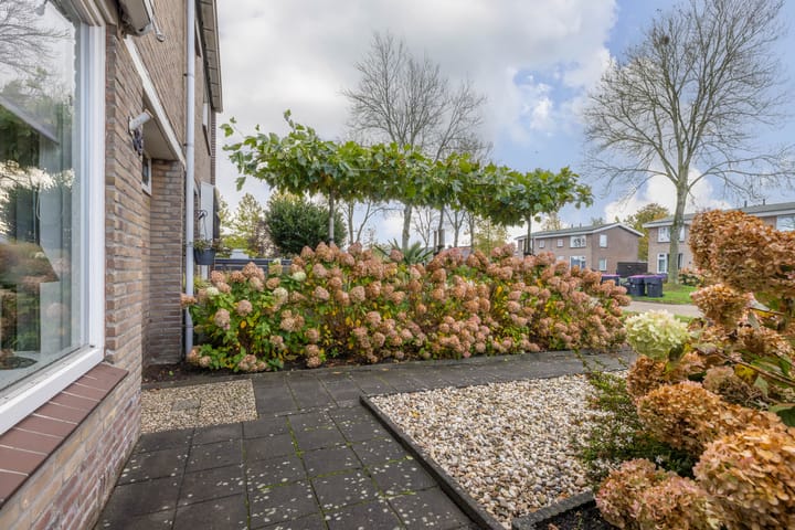 Photo 34 of Burmaniastraat 39