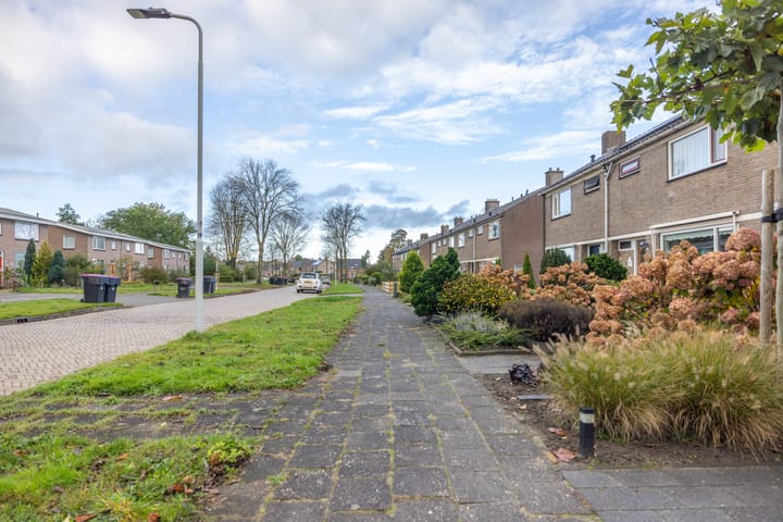 Photo 38 of Burmaniastraat 39