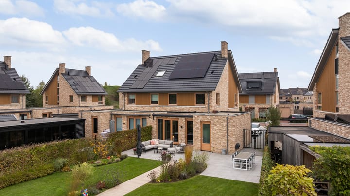 Foto 6 van Elf Morgen 4