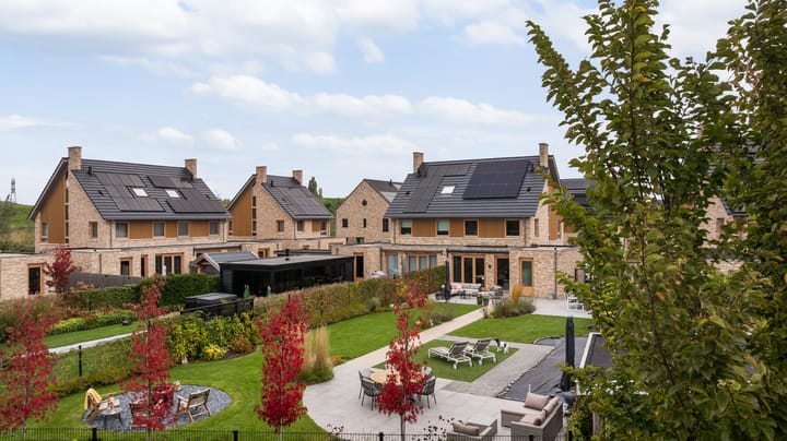 Foto 7 van Elf Morgen 4