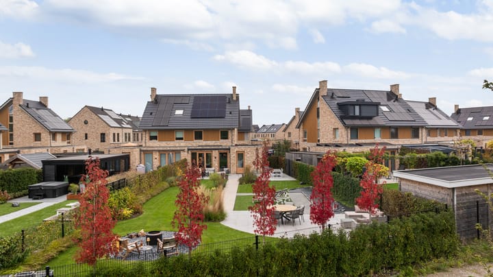 Foto 9 van Elf Morgen 4