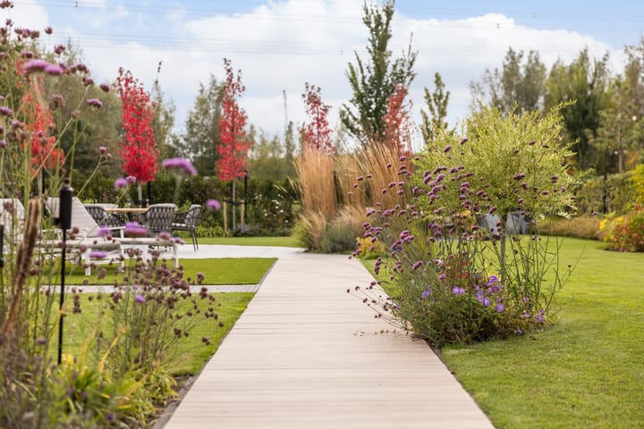 Foto 11 van Elf Morgen 4