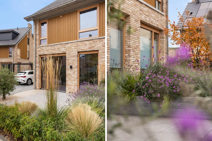 Foto 13 van Elf Morgen 4