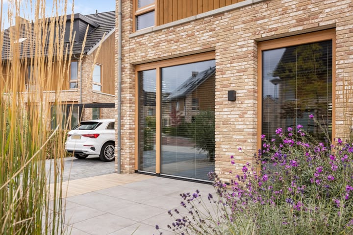 Foto 14 van Elf Morgen 4