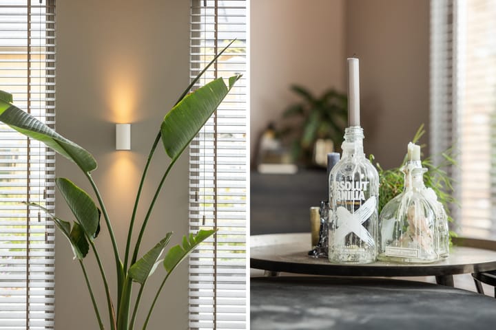 Foto 31 van Elf Morgen 4