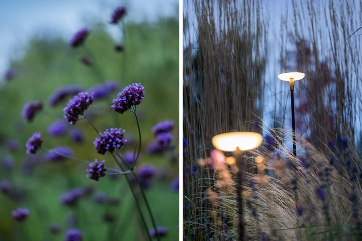 Foto 50 van Elf Morgen 4