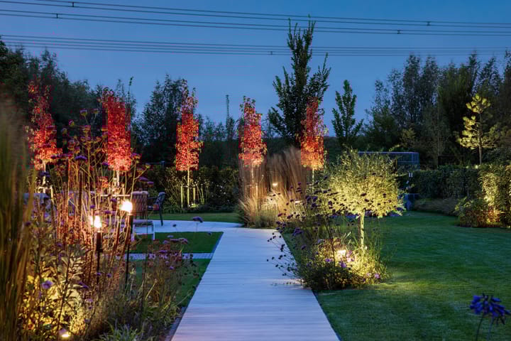 Foto 51 van Elf Morgen 4