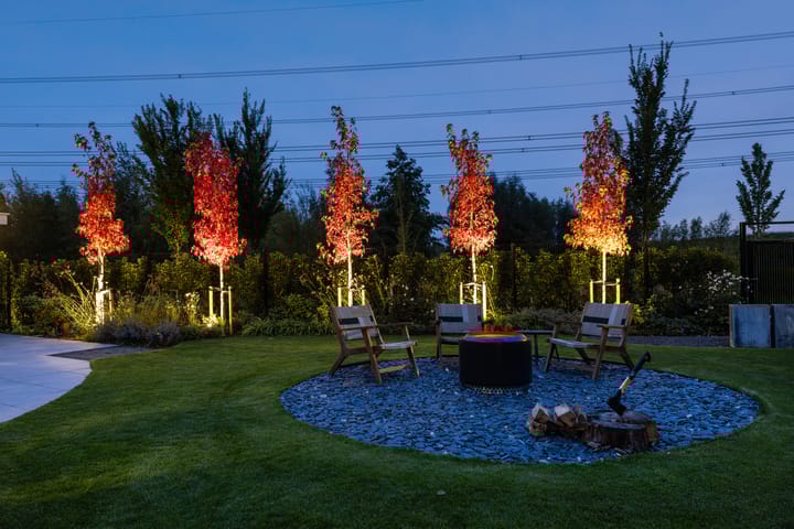 Foto 52 van Elf Morgen 4