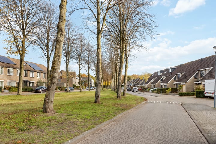 Photo 29 of Bergdreef 70