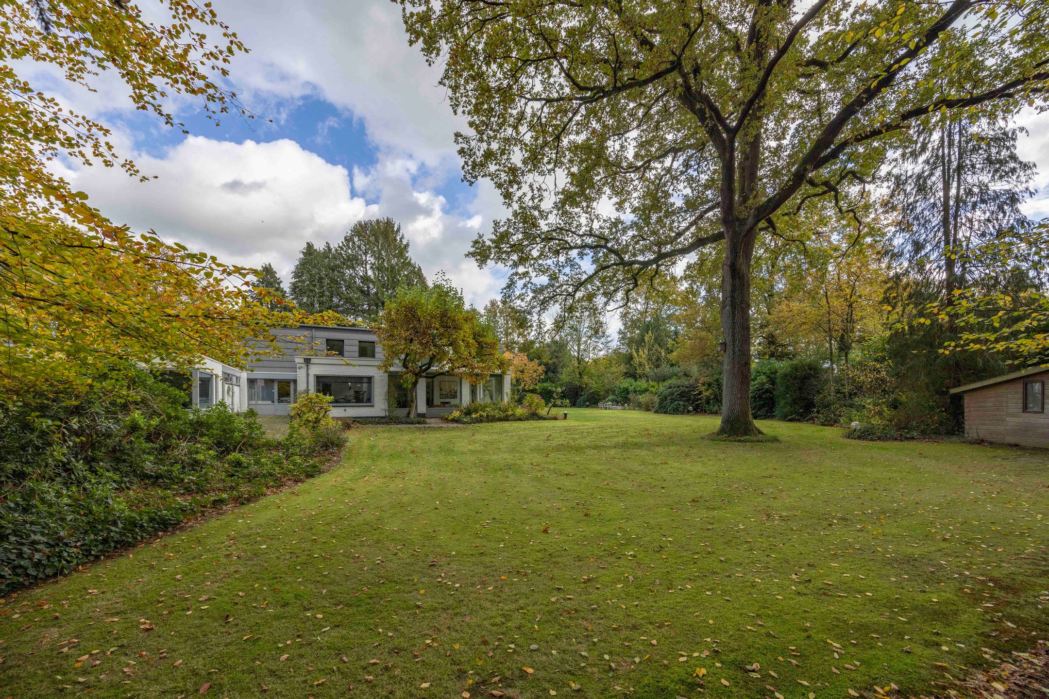 Foto 48 van van Rijckevorsellaan 8