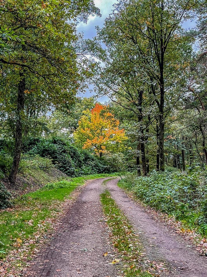 Foto 48 van van Rijckevorsellaan 8