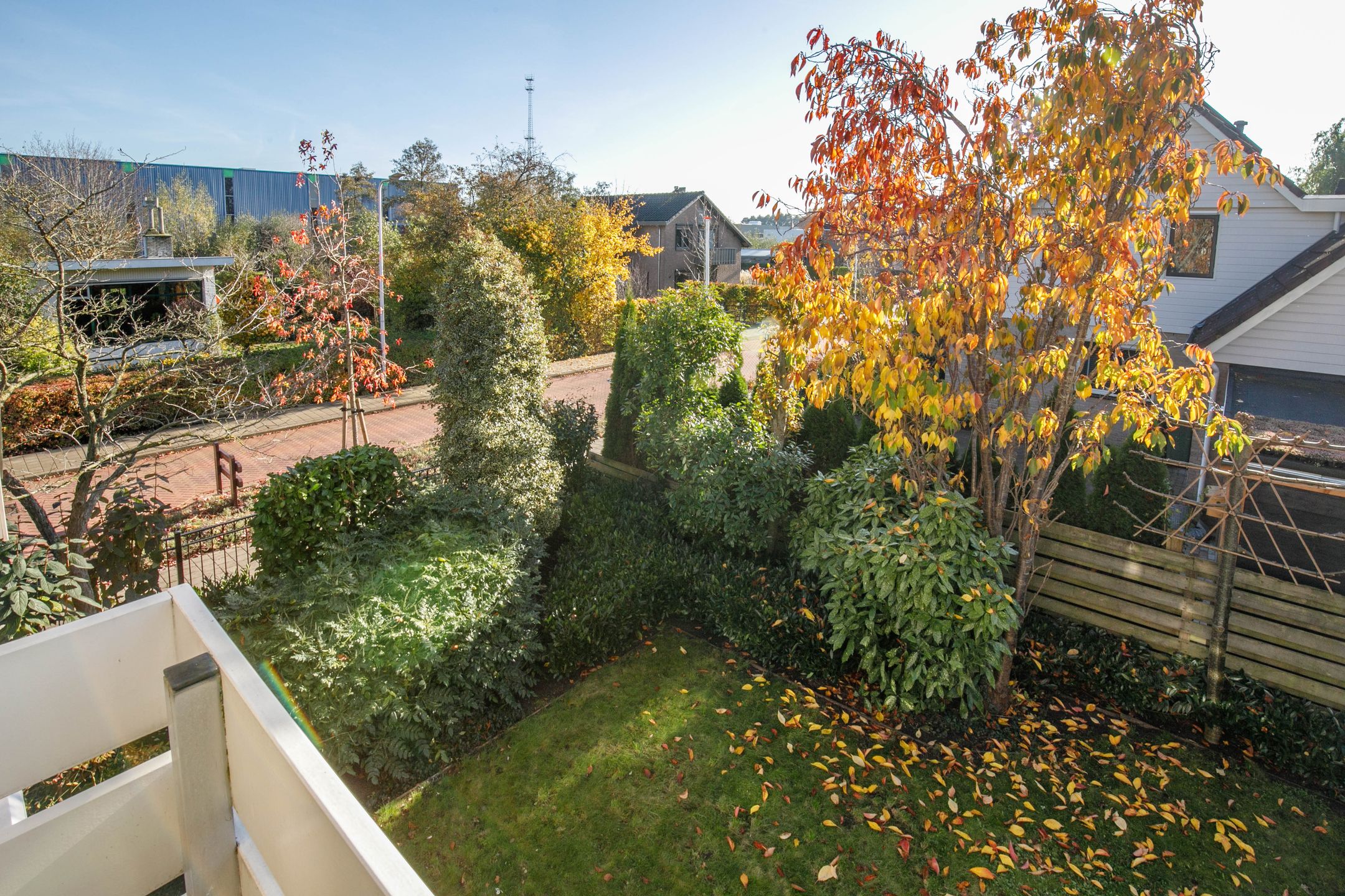 Foto 33 van Wilhelminastraat 77