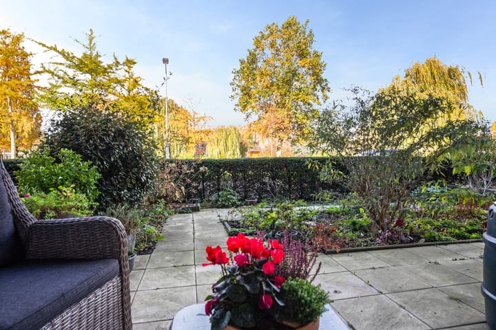 Photo 6 of Dokter Van Haeringenplantsoen 6-02