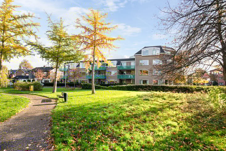 Photo 35 of Dokter Van Haeringenplantsoen 6-02