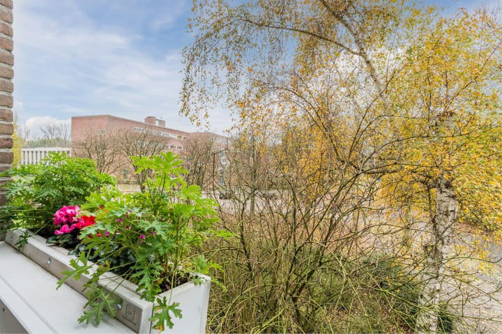 Foto 43 van Koeriersterweg 66