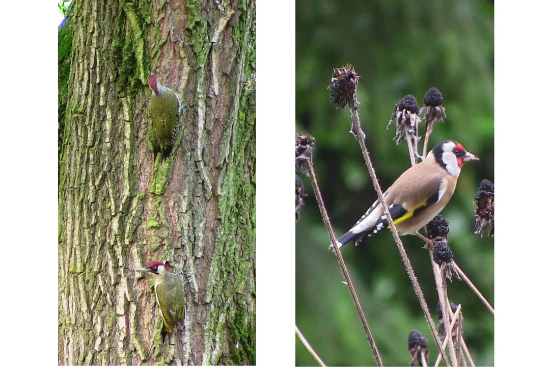 Photo 31 of Catalonië 35