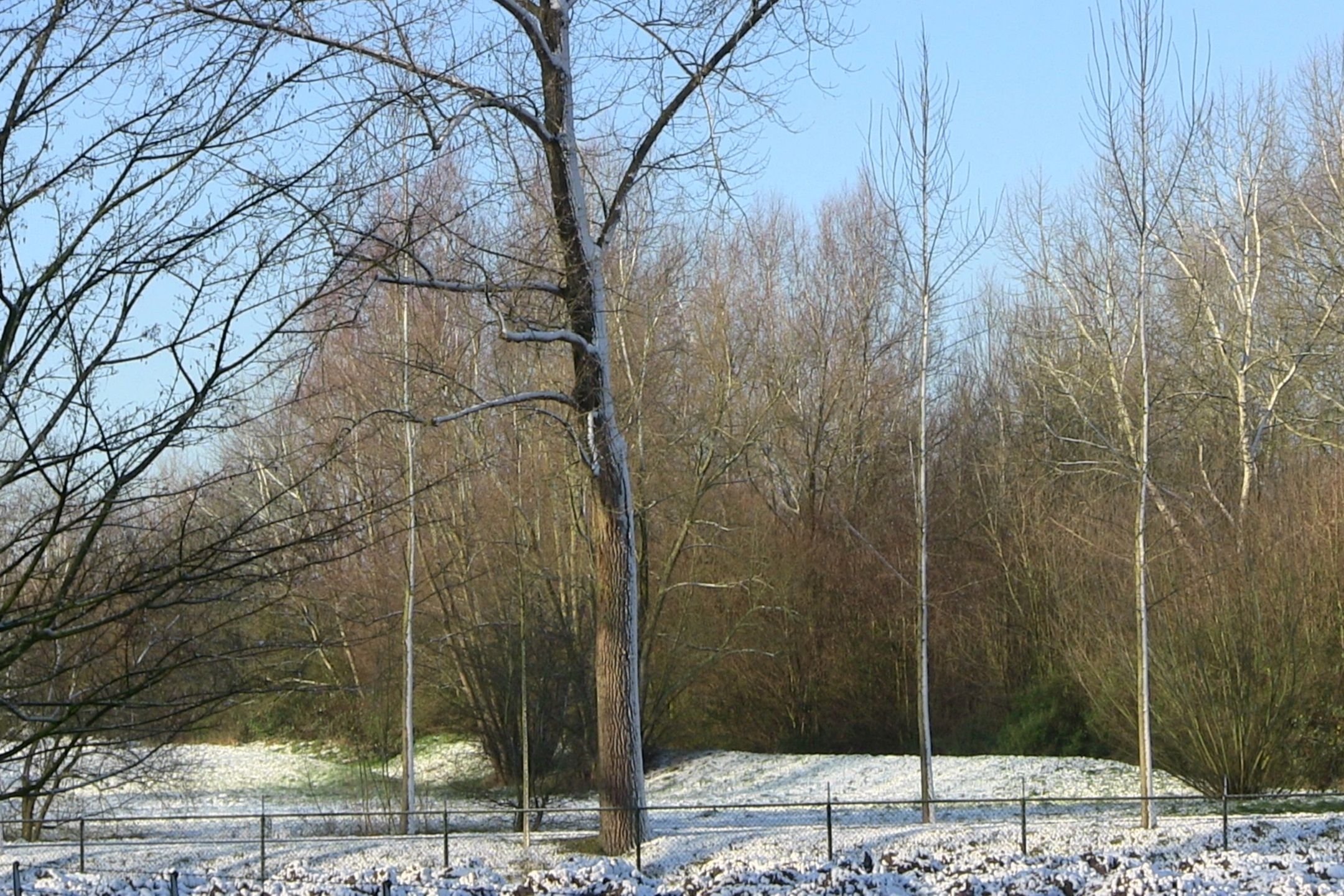 Photo 36 of Catalonië 35