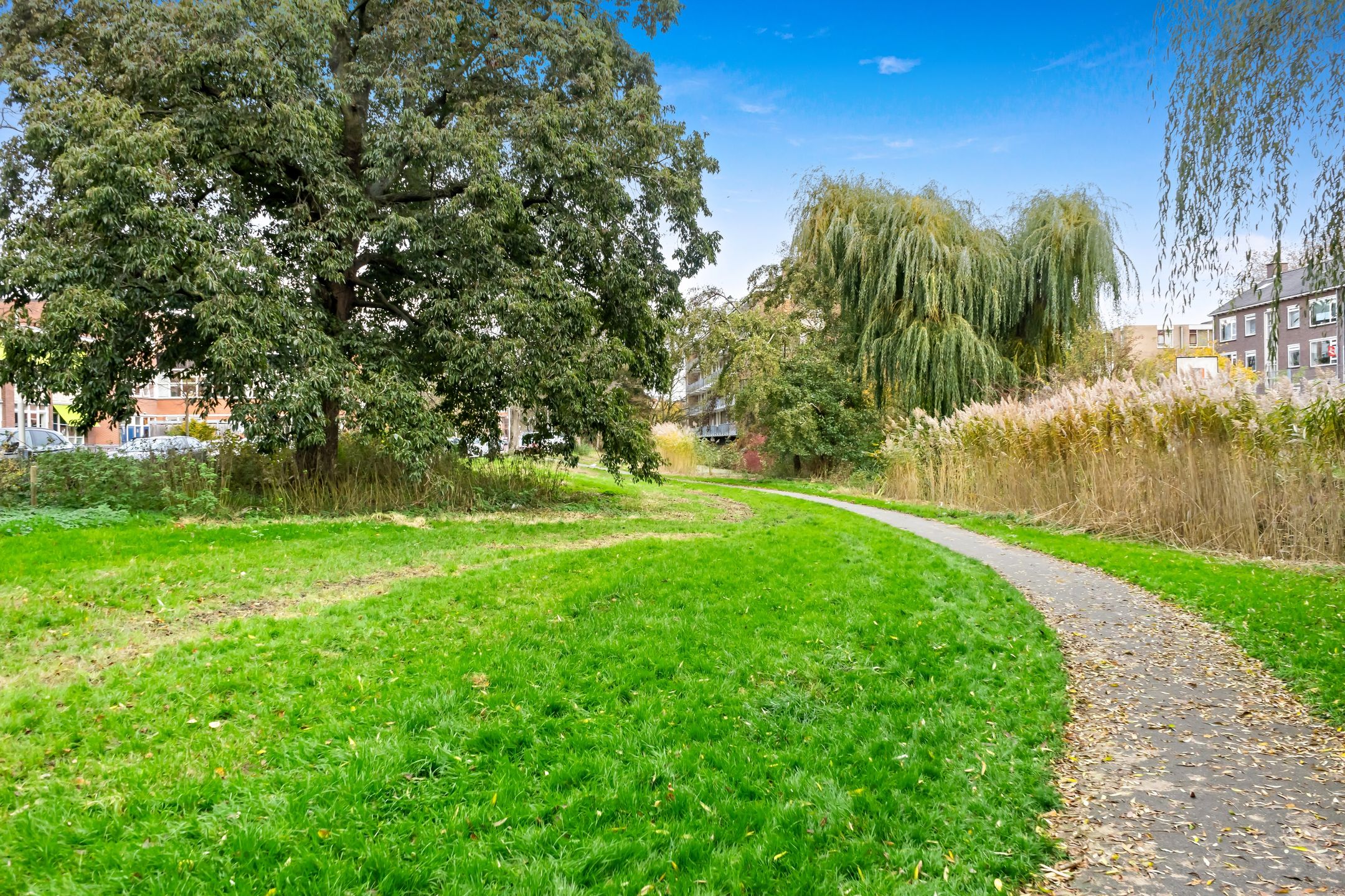 Foto 30 van Oudemansstraat 382